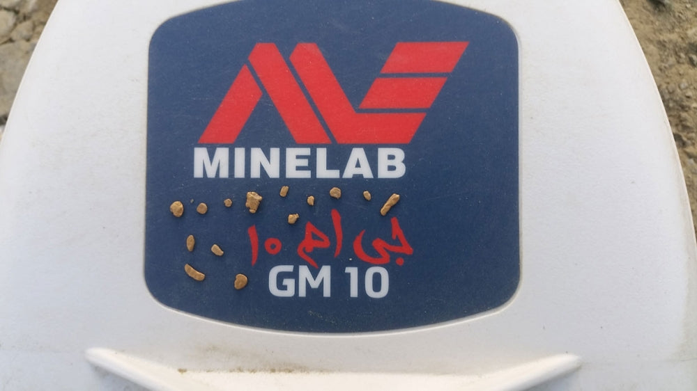 10 x 6 tommer elliptisk søkehode for Minelab Gold Monster 1000