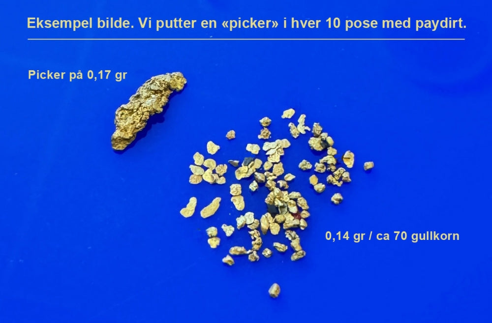 Klondike Gold Paydirt. Elvegrus med gullkorn for trening av gullvaske teknikk
