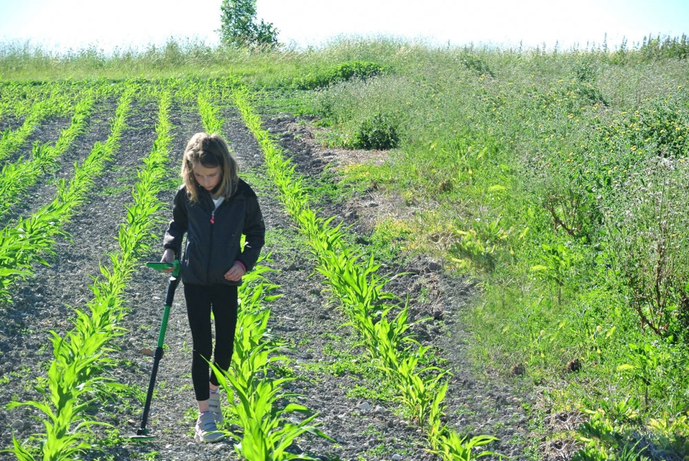Midi Hoard metalldetektor, for barn 8-12 år